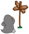 Humpi buscando un camino