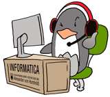 Pin informático