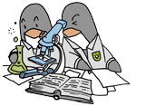 Biología creativa