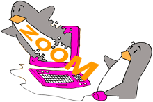 Humpis Zoom