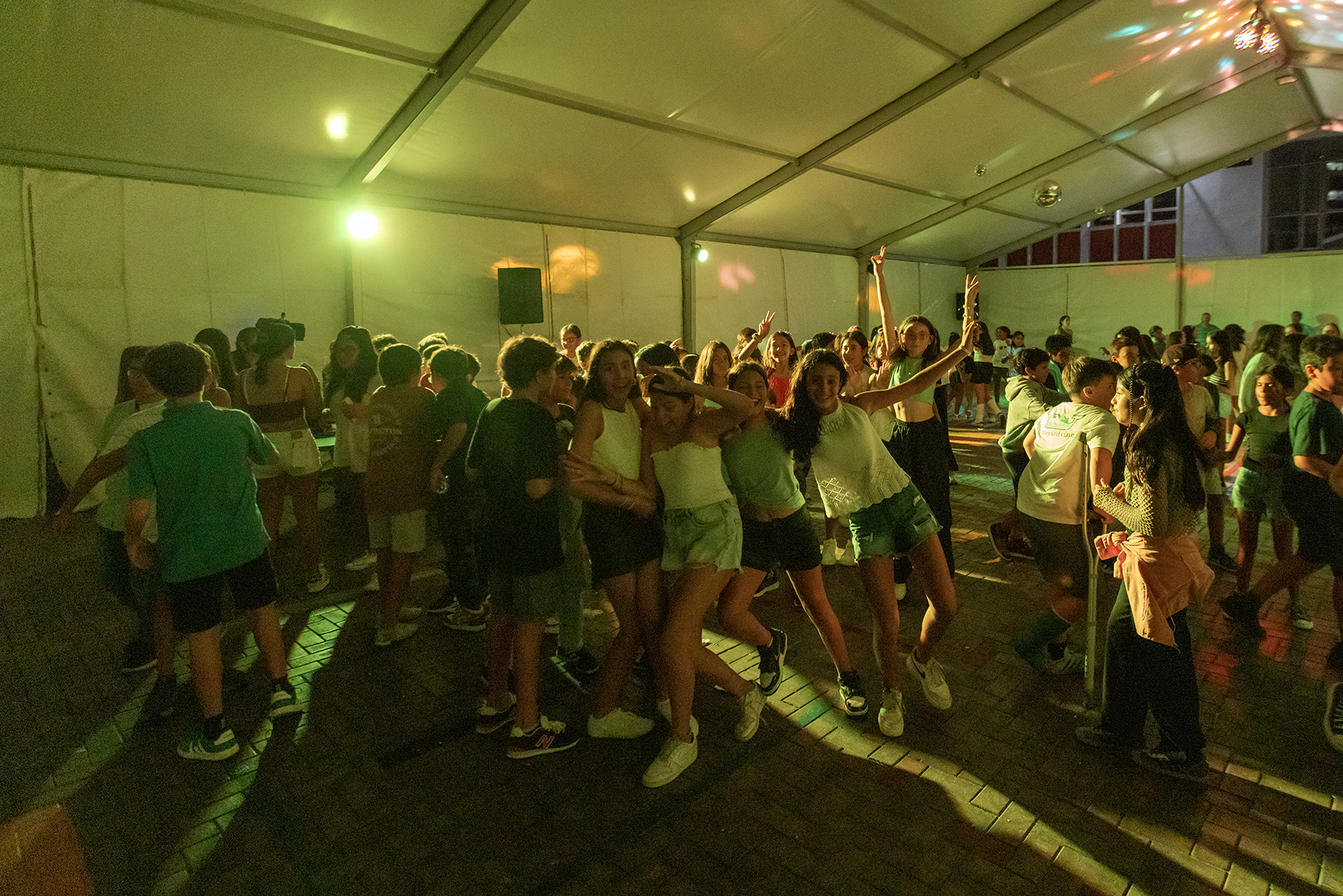 Fiesta5y6-018