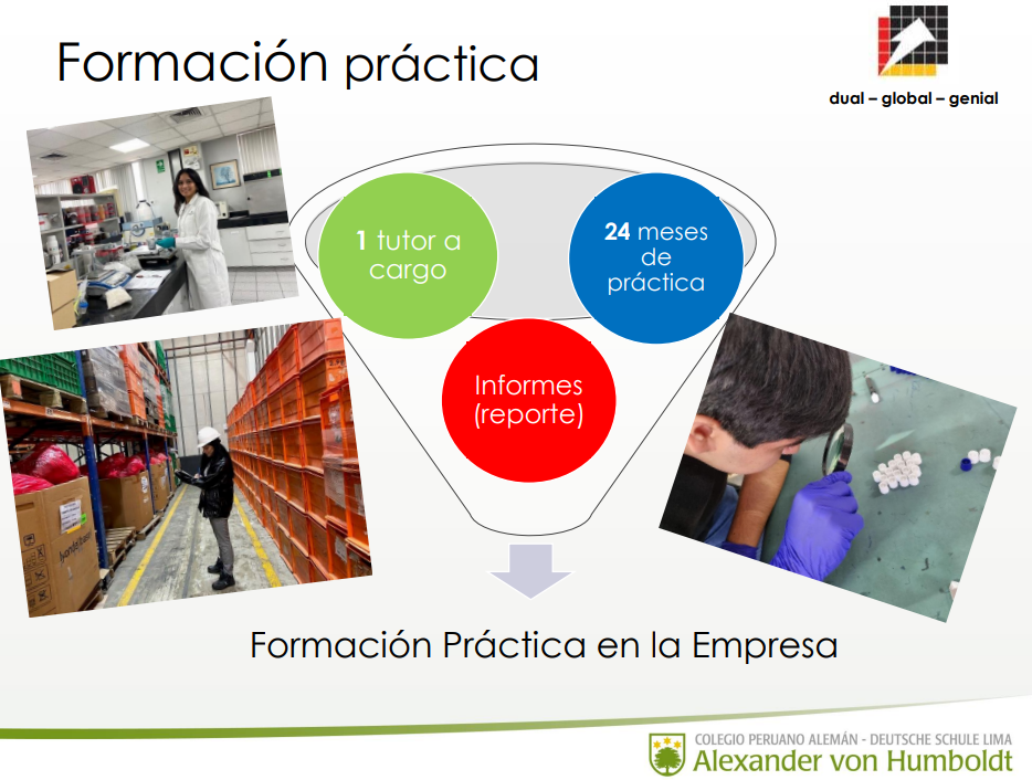 Sistema Dual BBZ Colegio Alexander von Humboldt