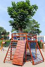 Paseo por el colegio