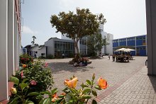 Paseo por el colegio