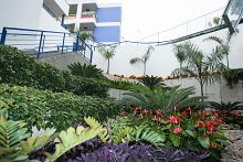 Paseo por el colegio