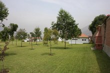 Paseo por el colegio